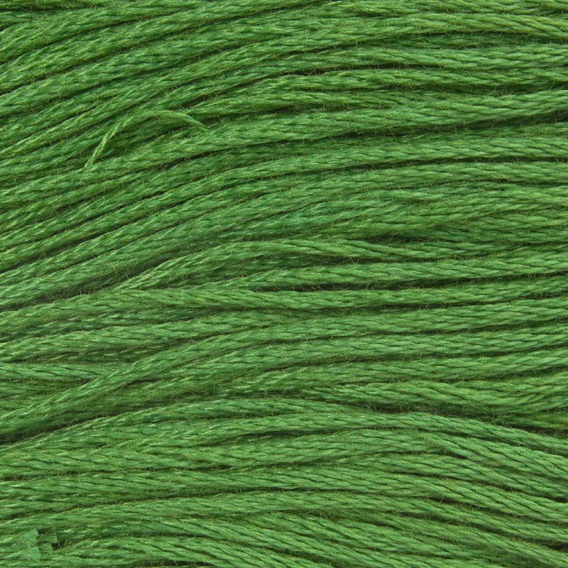 MULINA KOLOR 1681 MULINA KOLOR 1681